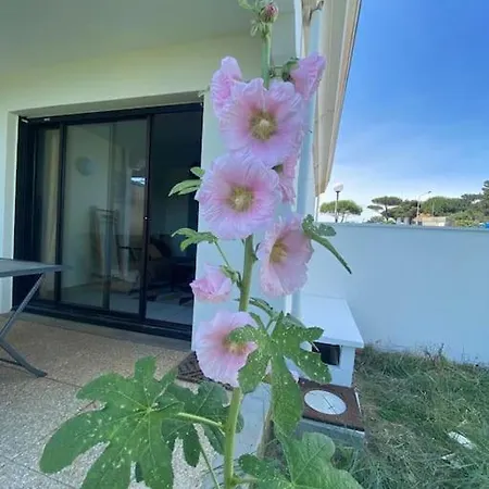 Studio Plage Du Chay Apartment